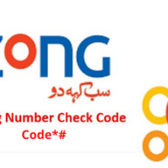 Zong Number Check Code 2023