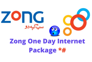 Zong One Day Internet Package