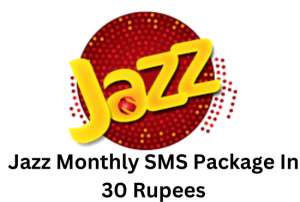 Jazz Monthly SMS Package In 30 Rupees