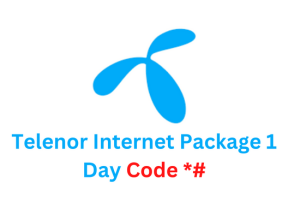 Telenor Internet Package 1 Day