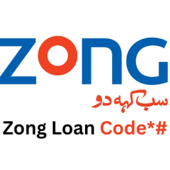 Zong Loan Code 2024