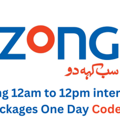 Zong 12am to 12pm internet packages One Day Code 2023