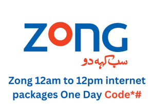 Zong 12am to 12pm internet packages One Day