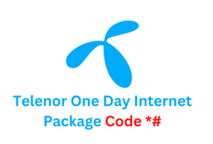 Telenor One Day Internet Package