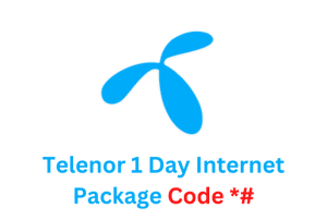 Telenor 1 Day Internet Package Code
