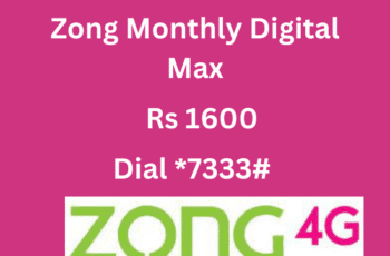 Zong Monthly Digital Max 100GB in Rs 1600