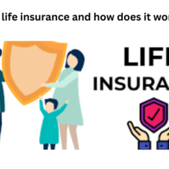 what is life insurance and how does it work 2024
