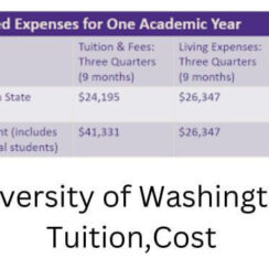 University of washington tuition and cost of attendance 2024